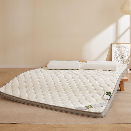 自然醒艾棉乳胶记忆棉立体床垫单双人加厚床褥家用学生宿舍软垫棉垫子LN 商品图11