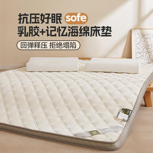 自然醒艾棉乳胶记忆棉立体床垫单双人加厚床褥家用学生宿舍软垫棉垫子LN 商品图0