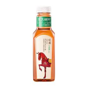 东方树叶红茶500ml/瓶（A6-01-04）