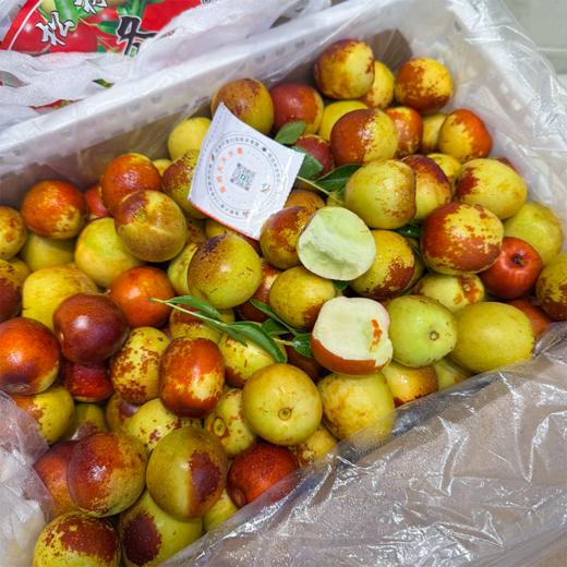 牛奶冬枣 又脆又甜 商品图7