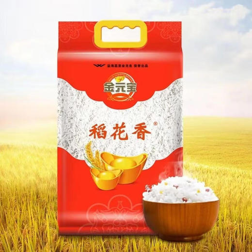 金元宝 稻花香大米5KG  YJTJ 商品图2