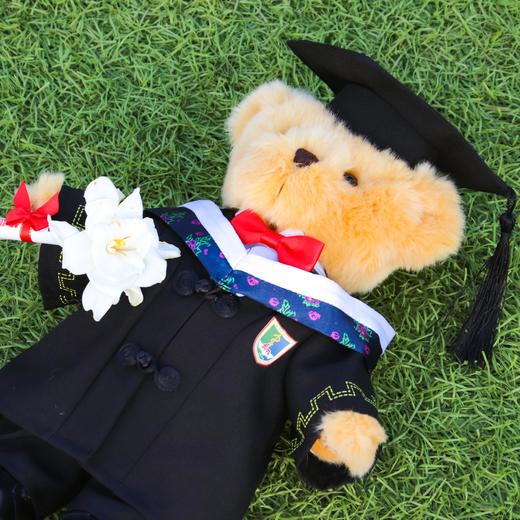 南医学位服泰迪熊 商品图4