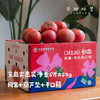 【排单3天发货】新疆“初恋”有机西红柿/番茄（基地直发-顺丰空运）|礼盒装、家庭装，来自新疆库尔勒，生产者：王忠军 商品缩略图4