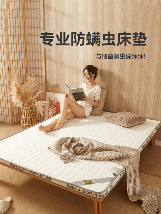 自然醒抗菌防螨针织棉25D高密度海绵填充立体床垫学生宿舍单人租房专用榻榻米垫LN 商品图2