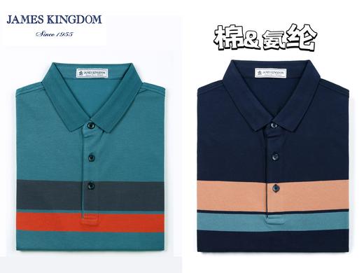 占姆士男士宽条纹T恤POLO衫  棉&氨纶 商品图0