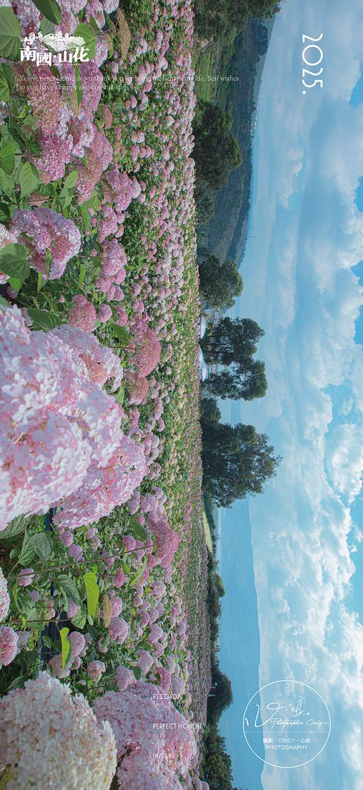 赏花早鸟价 商品图9