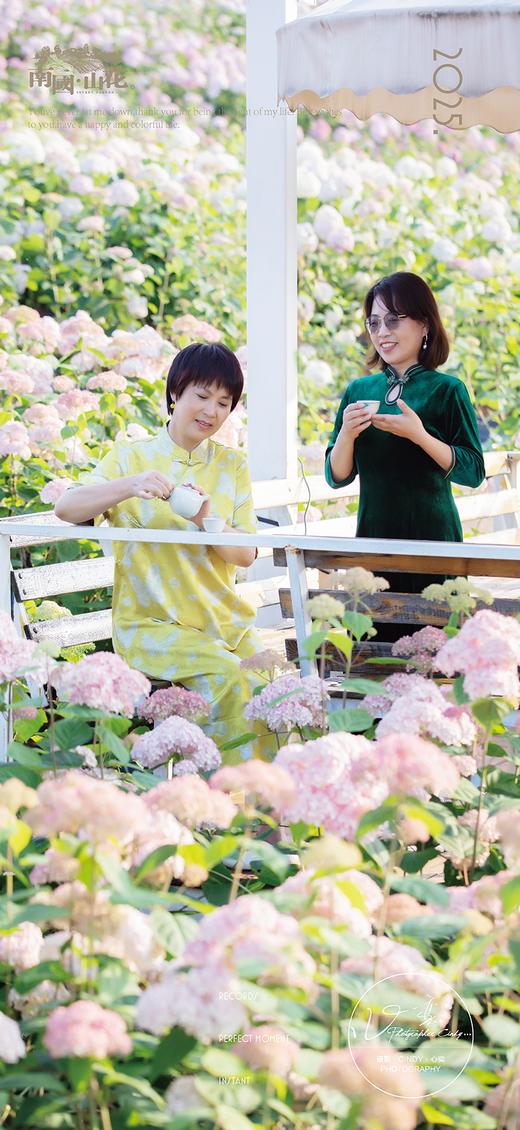 赏花早鸟价 商品图5