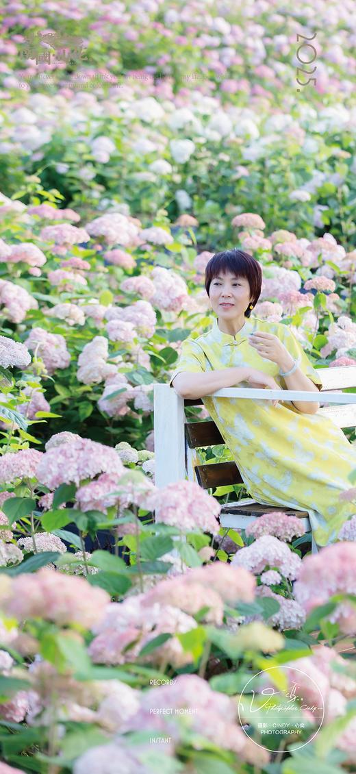 赏花早鸟价 商品图7