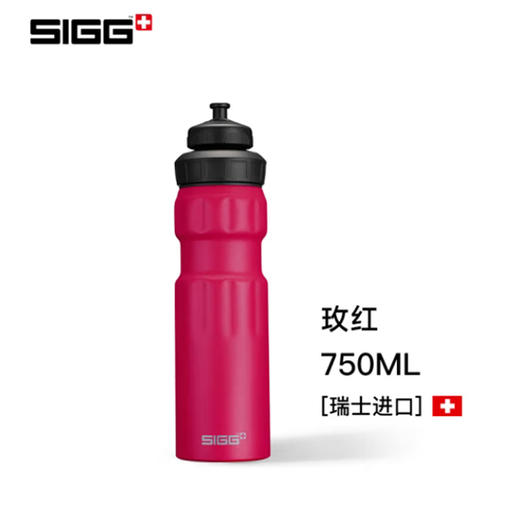 SIGG极限系列运动骑行水壶0.75L HL-750SG-5 商品图1