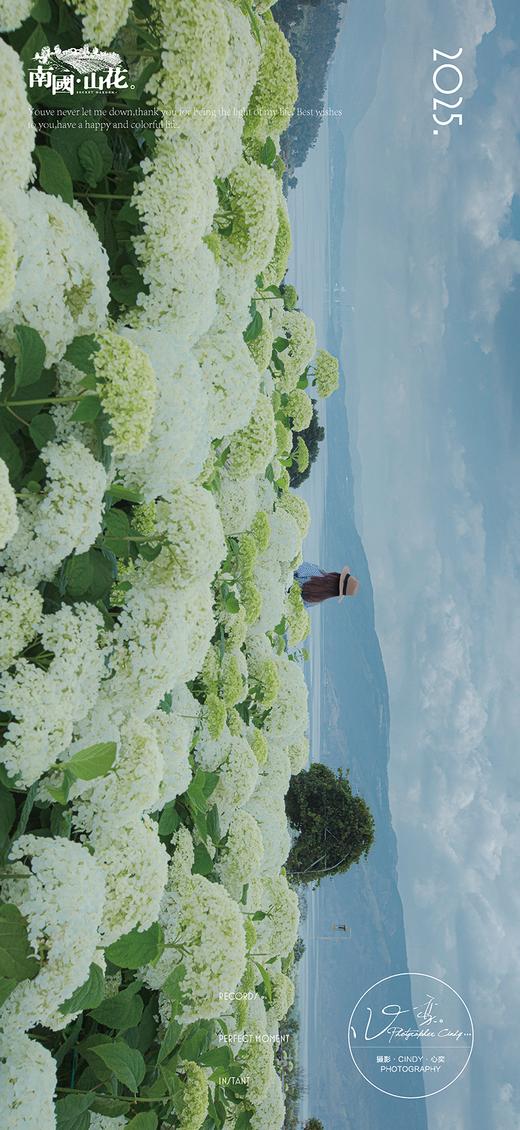 赏花早鸟价 商品图8