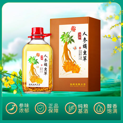 40°劲牌人参蛹虫草酒 2.3L 商品图1