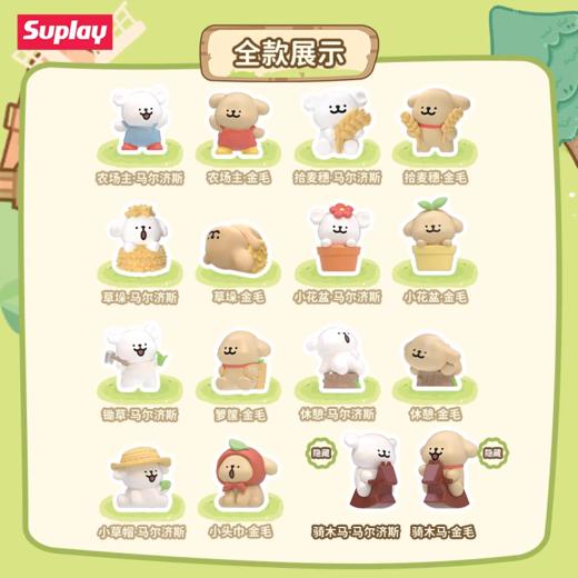 suplay盲袋 商品图7