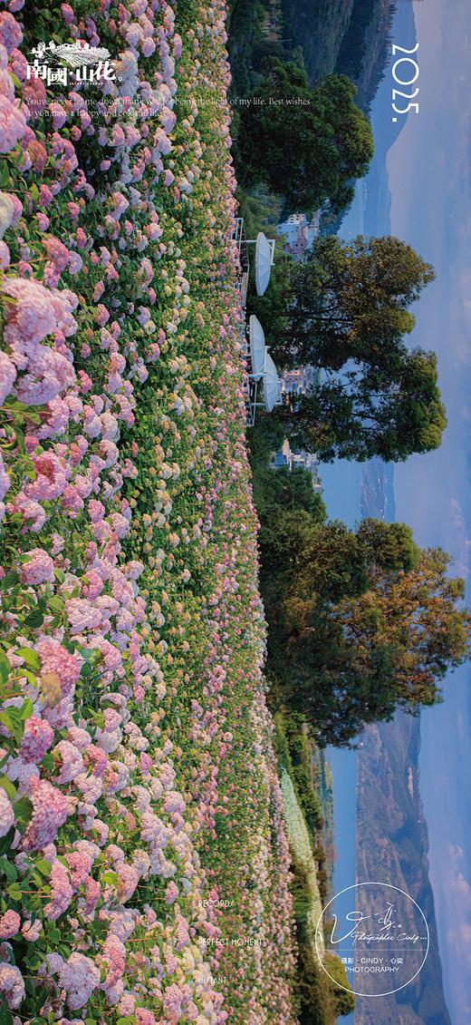 赏花早鸟价 商品图10