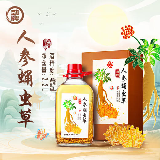 40°劲牌人参蛹虫草酒 2.3L 商品图4