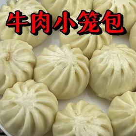 牛肉小笼包（500g/袋-约22个） （顺丰冷链发货，运费按实收取）云南馋中大司