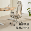 A300系列人体工学椅 商品缩略图1