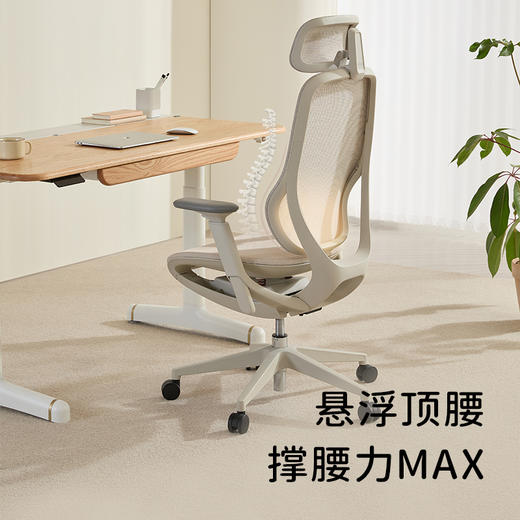 A300系列人体工学椅 商品图1