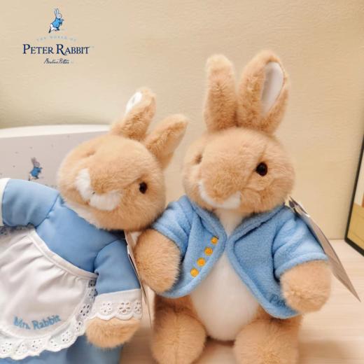 市场营销备用商品17 商品图0