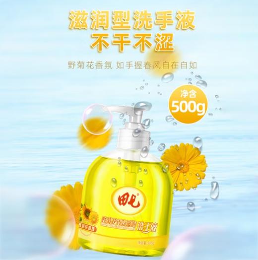 【清仓】田七野菊花芦荟香氛洗手液滋润温和护手甘油保湿配方老国货儿童适用 野菊花洗手液500G 商品图3