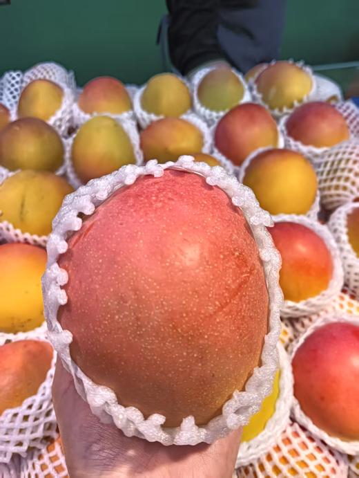黄热龙芒果三斤 商品图1