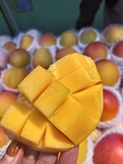 黄热龙芒果三斤 商品图2