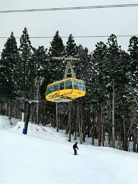 【25/26雪季，树冰藏王】3月3日-3月8日，6天5晚，6799元/人起，含早晚餐，观赏树冰奇观，畅滑优质粉雪！