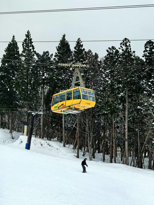 【25/26雪季，打卡藏王】1月13日-1月18日，6天5晚，7699元/人起，含早晚餐，滑进滑出观赏树冰奇观，畅滑优质粉雪！ 商品图4