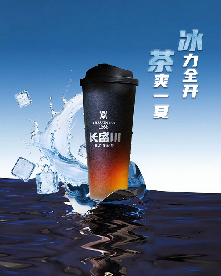热泡/冷萃青砖纯茶