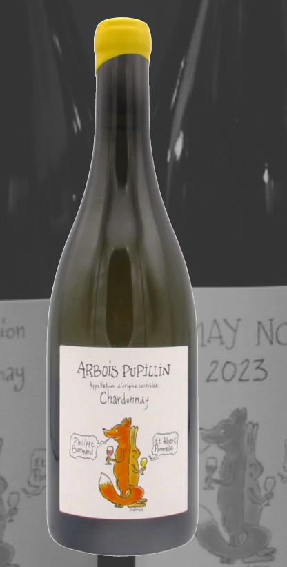 Philippe Bornard et Albert Ponnelle Arbois-Pupillin Chardonnay博纳颇累阿赫布瓦皮皮兰霞多丽白菊萄酒2022 商品图0