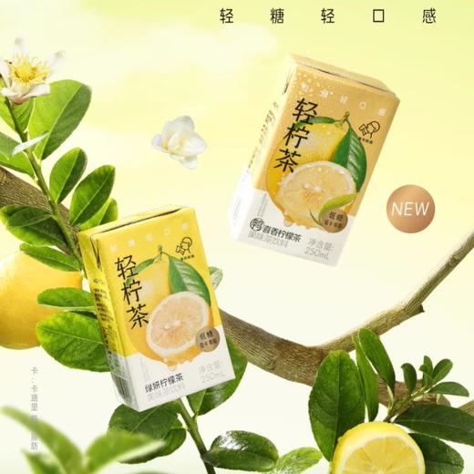 喜茶低糖柠檬茶利乐包250ml*6（清柠/鸭屎香） 商品图0
