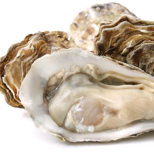 【日配鲜食】匠心极乳山生蚝 3种规格任选 净重约2.5斤 鲜活肥美 鲜嫩多汁（每周四16点截单，到店通知提配） 商品图2