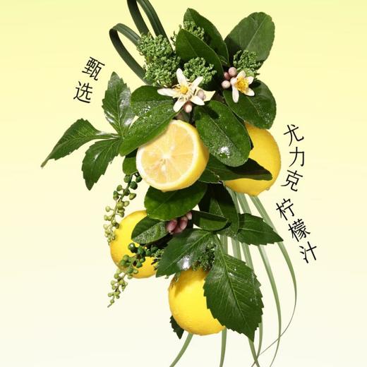 喜茶低糖柠檬茶利乐包250ml*6（清柠/鸭屎香） 商品图1