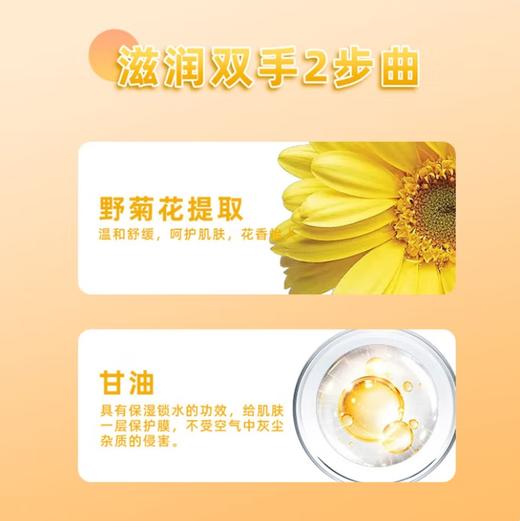 【清仓】田七野菊花芦荟香氛洗手液滋润温和护手甘油保湿配方老国货儿童适用 野菊花洗手液500G 商品图4