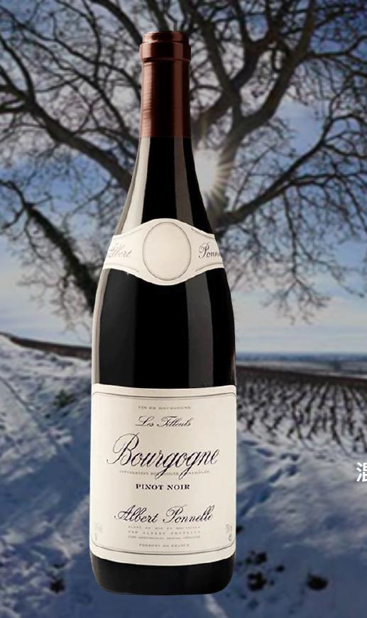Domaine Albert Ponnelle Bourgogne Rouge ‘Les Tilleuls’阿伯颇累勃艮第大区菩提园红葡萄酒2022 商品图0