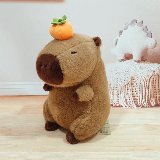 市场营销备用商品17 商品图5