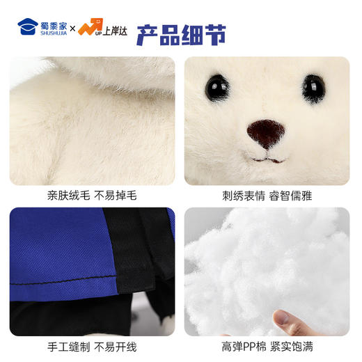 【毕业熊】可定制学士/硕士/博士毛绒公仔玩具礼盒装文科/理科/工科/医科/农科/军科小熊玩偶送礼摆件 商品图4
