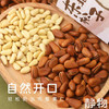 原味东北松子 300g（带壳）【Y】 商品缩略图3