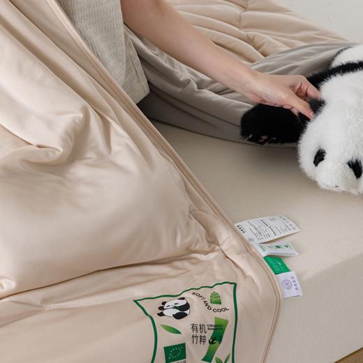  【有机竹粹夏凉被】锦纶面料，科技锁凉，竹纤抗菌，丝滑触感，给你夏日清爽睡眠！（2.12-2.22停发） 商品图5