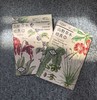 山野草木绘真 （下单套装送自然笔记手绘素材集） 一部跨越生态与文明的中国草木视觉志 &3183+3184，+【现货】绘认植物·第一课书  2192、套盒2249、挂图2236 商品缩略图0