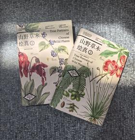山野草木绘真 （下单套装送自然笔记手绘素材集） 一部跨越生态与文明的中国草木视觉志 &3183+3184，+【现货】绘认植物·第一课书  2192、套盒2249、挂图2236