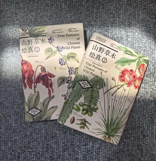 山野草木绘真 （下单套装送自然笔记手绘素材集） 一部跨越生态与文明的中国草木视觉志 &3183+3184，+【现货】绘认植物·第一课书  2192、套盒2249、挂图2236 商品图0