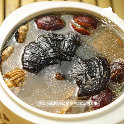 生态鲜赤灵芝 | 绿家自产 * Ecological fresh red Ganoderma lucidum | Self-production 商品图3