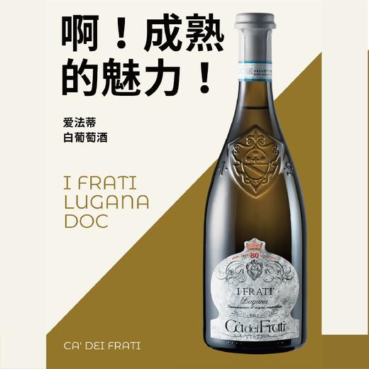 查法蒂爱法蒂白葡萄酒 750ml 商品图2