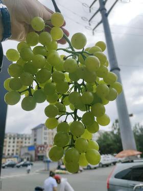 碧香无核葡萄一斤