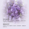 Argital雅琪朵 薰衣草花水125ml 商品缩略图3