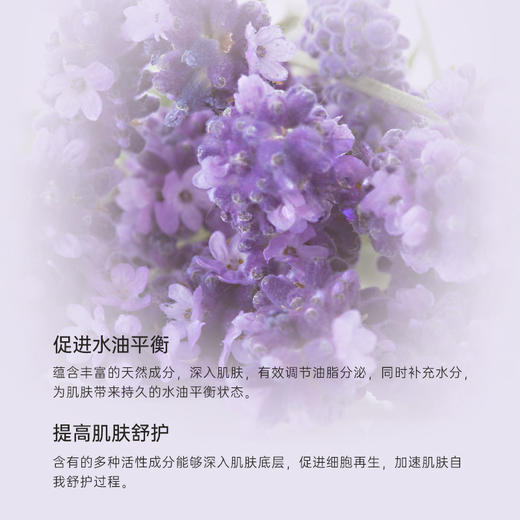 Argital雅琪朵 薰衣草花水125ml 商品图3
