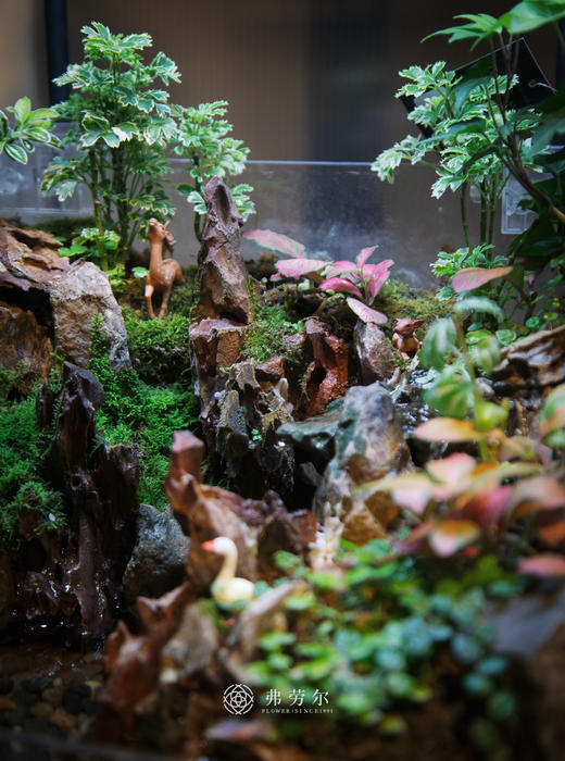 水陆缸 商品图2