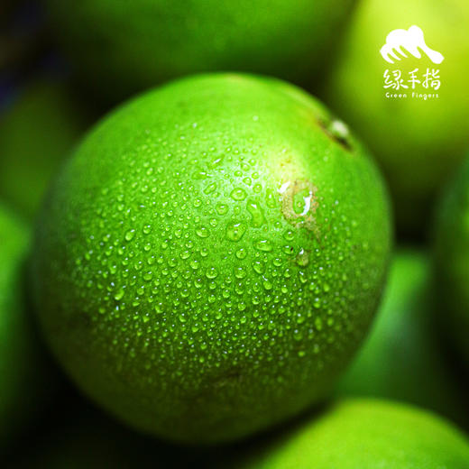 生态青柠檬（圆通） | 合作生产 *Ecological Green Lemon | Partner Production 商品图3