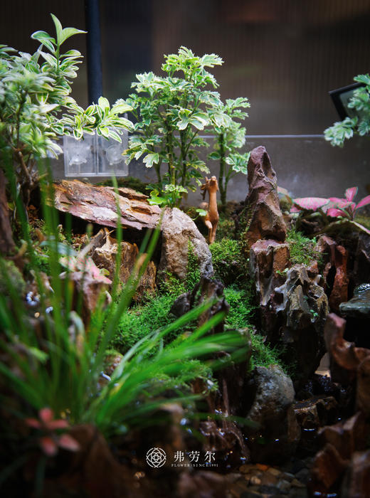 水陆缸 商品图1