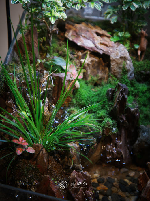 水陆缸 商品图4